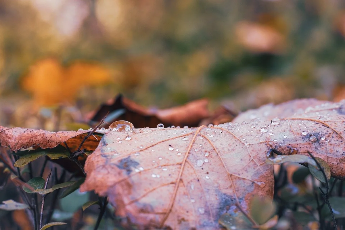 De l'analyse à l'action : le vrai travail commence