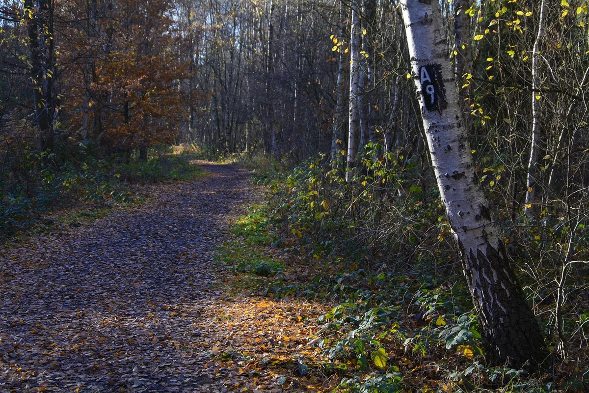 Méthodes de calcul du seuil de rentabilité pour PME : guide complet 2026